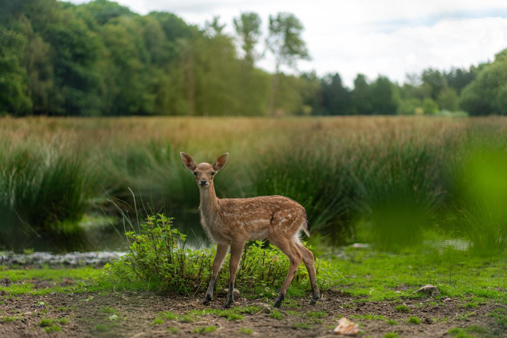 Vakantie-Hengelhoef Aan de Wolfsberg Kültér fotó